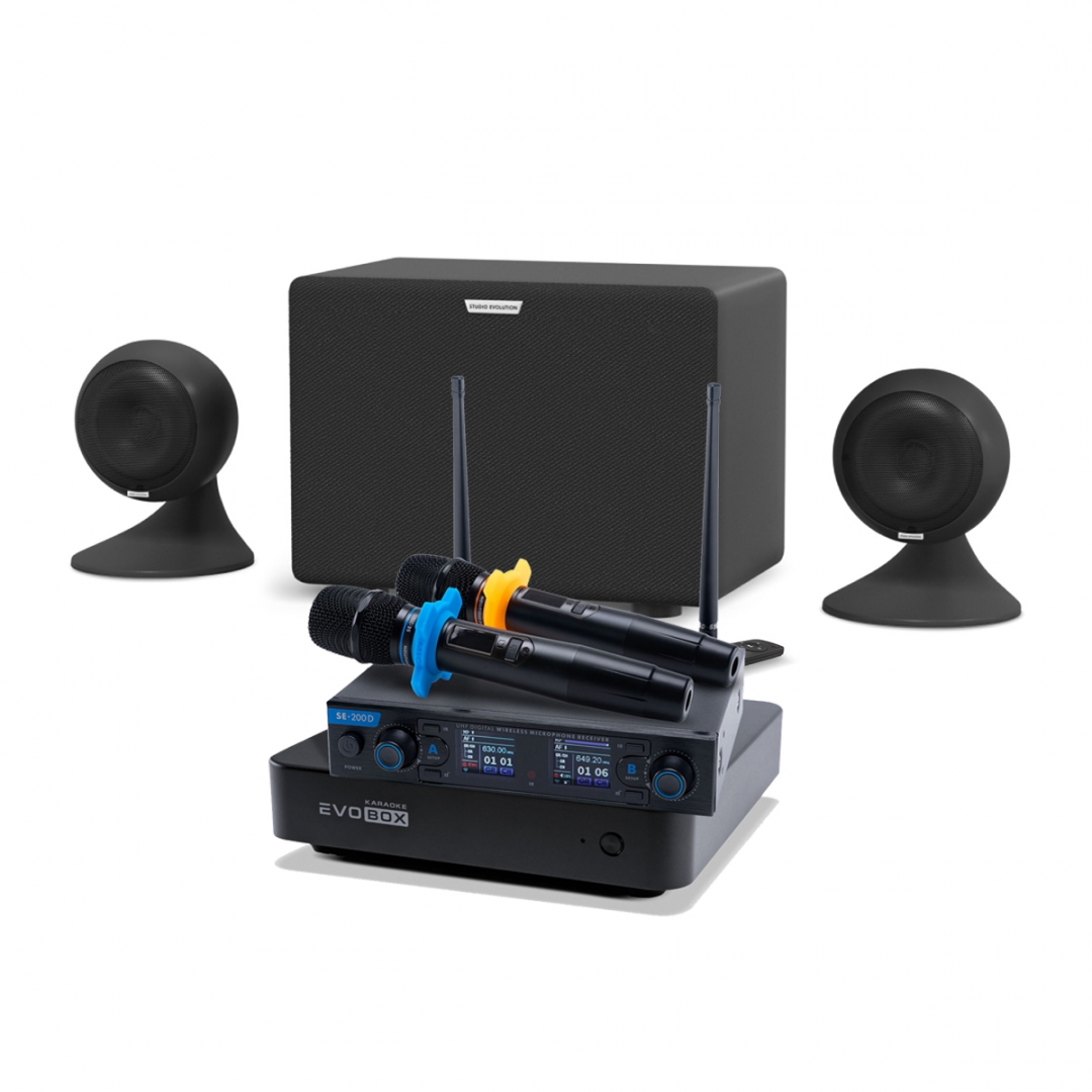 караоке-комплект EVOBOX + EvoSound Sphere 2.1 в Сафоново