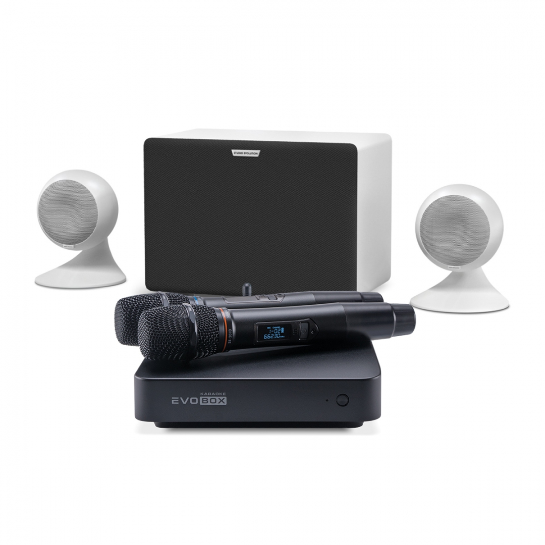 караоке-комплект EVOBOX Classic + EvoSound Sphere 2.1 в Сафоново