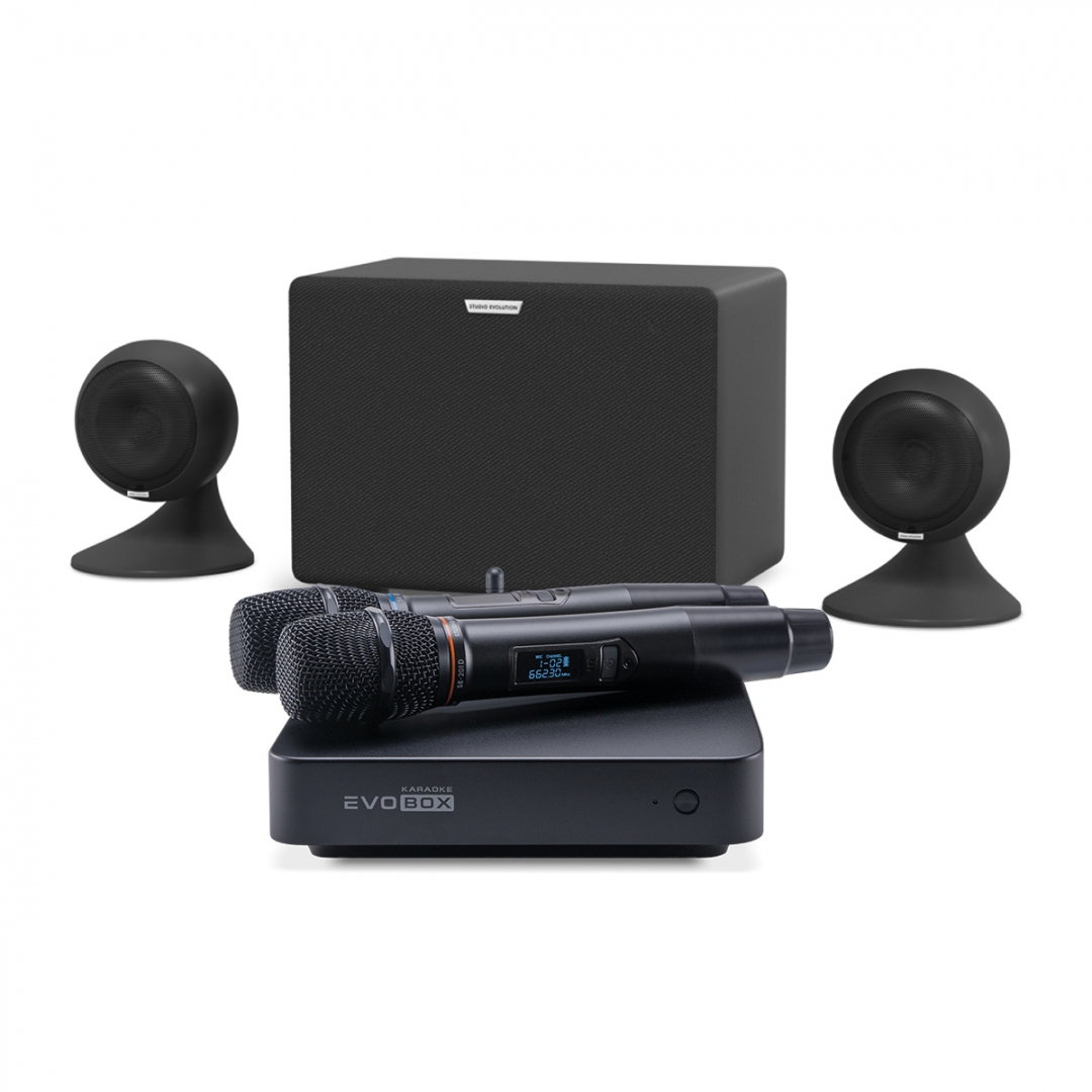 караоке-комплект EVOBOX Plus + EvoSound Sphere 2.1 в Сафоново