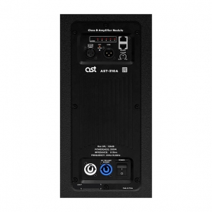 Активная акустическая система AST-310A в Сафоново