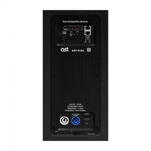 Активная акустическая система AST-312A в Сафоново
