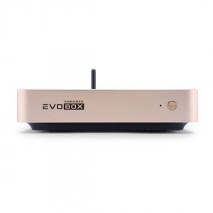 EVOBOX Plus караоке-система для дома в Сафоново