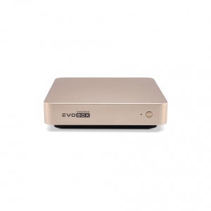 EVOBOX с микрофонами в Сафоново